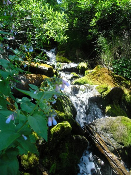 Fresh water mountain spring